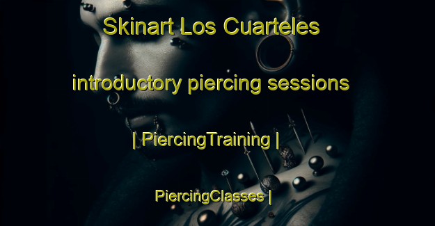 Skinart Los Cuarteles introductory piercing sessions | PiercingTraining | PiercingClasses | SkinartTraining-Mexico